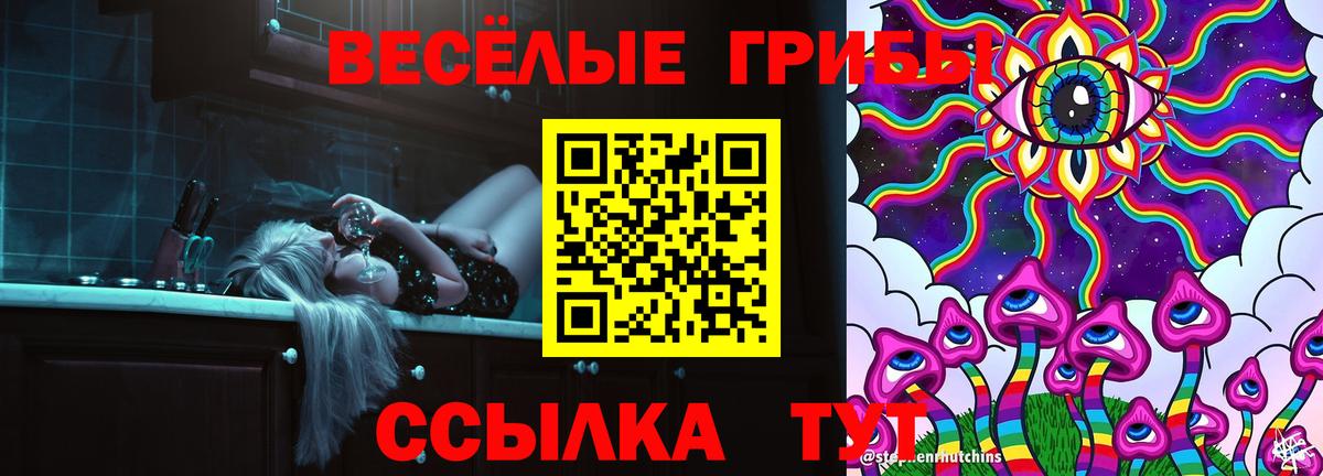 Димитровград  Галлюциногенные грибы мицелий  Вход с VPN  Псилоцибиновые грибы ЛСД 